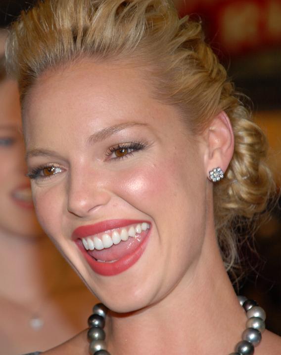 Katherine Heigl at 27 Dresses Premiere 10